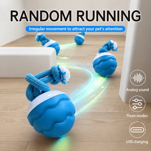 Interactive Smart Rolling Ball Dog Toy