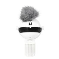 Electronic Motion Cat Toy - motion demonstration