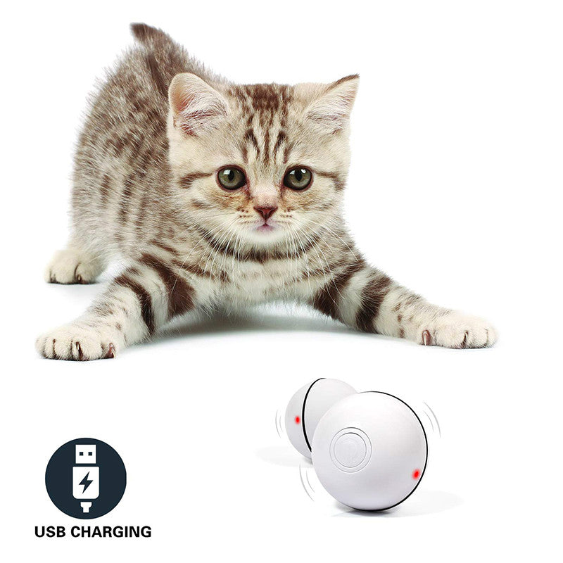 LED Light-Up Automatic Rolling Cat Toy Ball - photo 3
