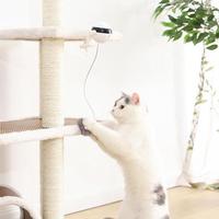 Electronic Motion Cat Toy - detail view