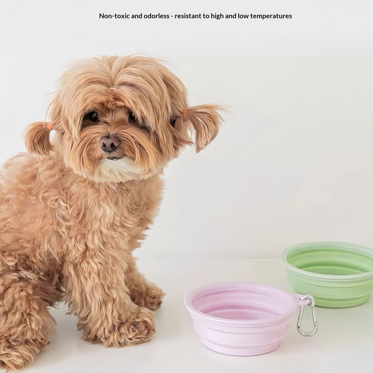 Portable Folding Pet Bowl - detail view