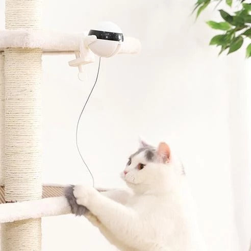 Electronic Motion Cat Toy - different angle