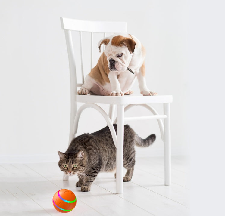 Interactive Rolling Cat Ball Toy - photo 9