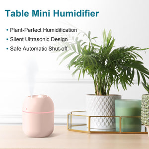 Mini Cool Mist Humidifier – 220 ml USB Desktop Humidifier
