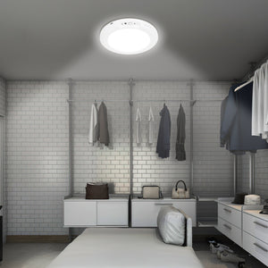 Rechargeable Motion Sensor Ceiling Light with Remote