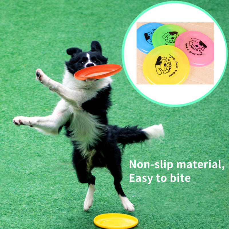 Silicone Flying Disc Dog Toy - detail view