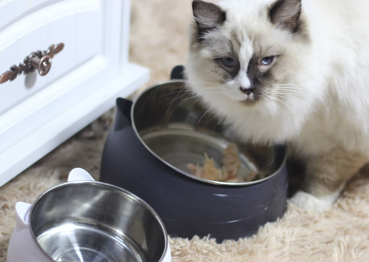 Elevated Double Stainless Steel Pet Bowl - photo 1