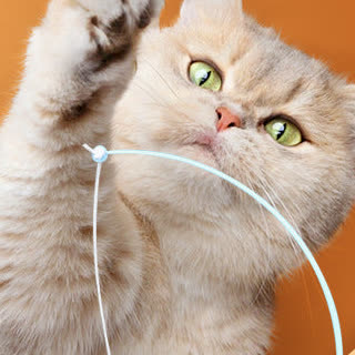 2-in-1 Feather Cat Turntable Toy - MapleSnug product photo