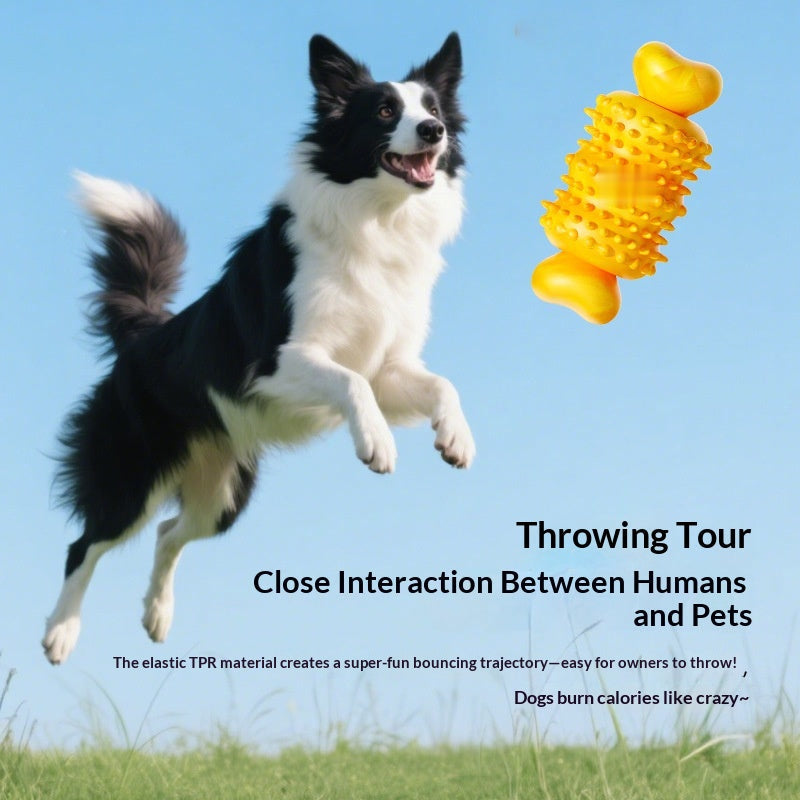 Bite-Resistant Bone Chew Toy - photo 6